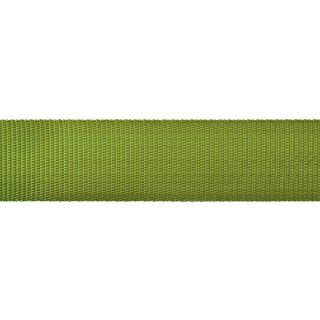Gurtband - 40 mm - uni - apfelgrün