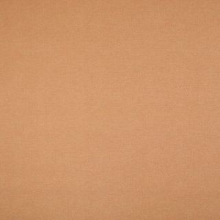 Baumwolle - beschichtet - uni - orange