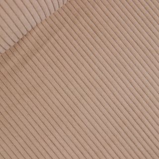 Bigcord - uni - camel