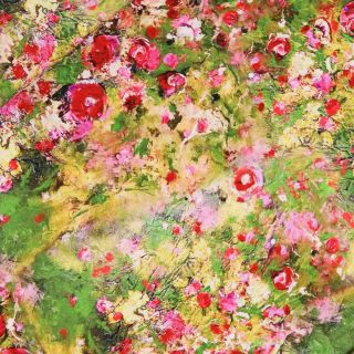 Viskose - Sommerrosen