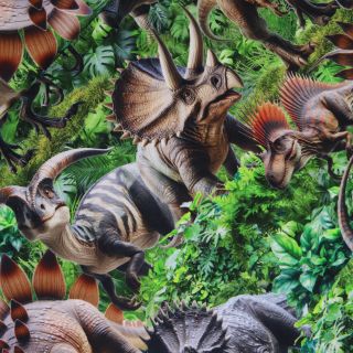 Baumwolljersey - Jurassic Garten 
